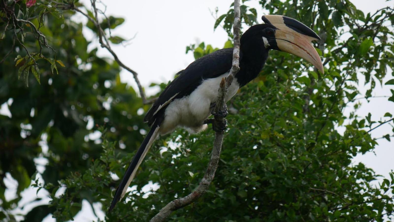Suduweli Beauties of Nature Kirinda  Extérieur photo