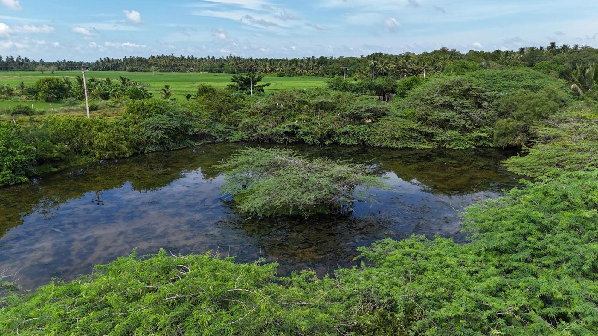 Suduweli Beauties of Nature Kirinda  Extérieur photo