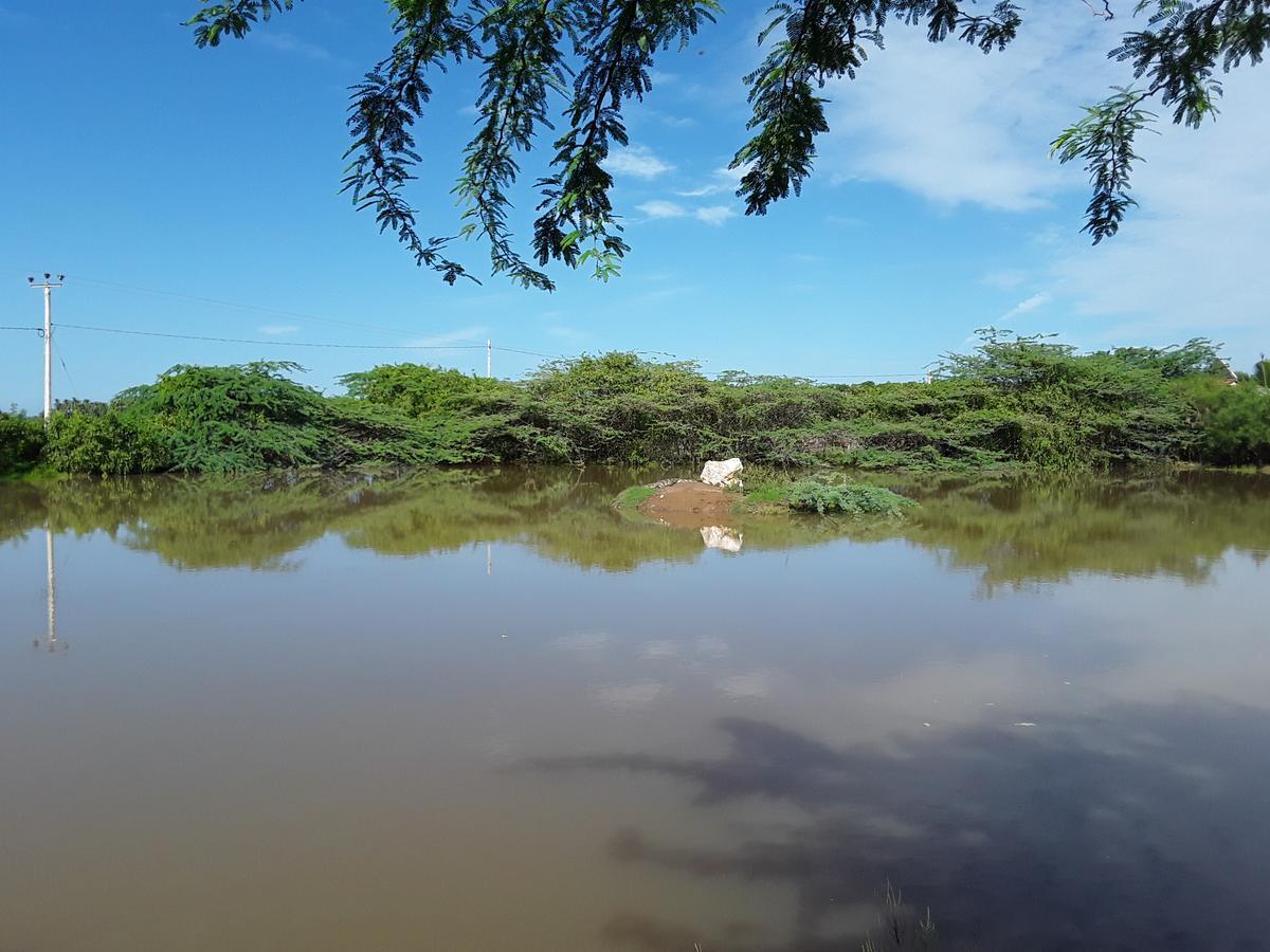 Suduweli Beauties of Nature Kirinda  Extérieur photo