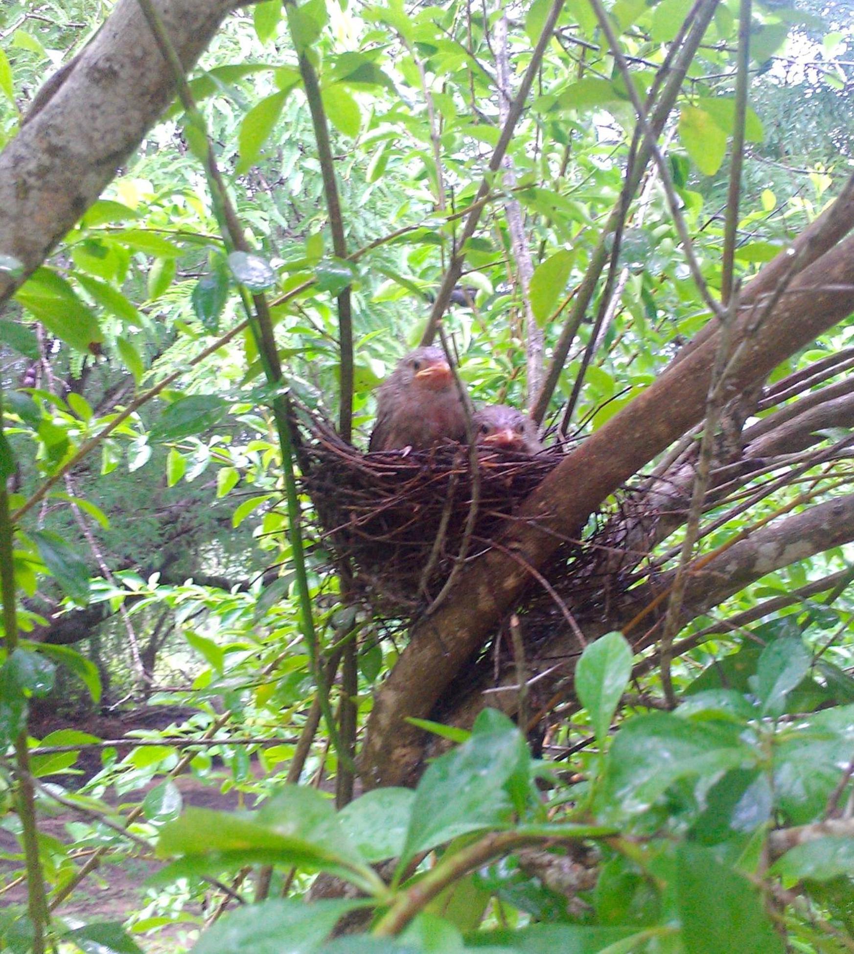 Suduweli Beauties of Nature Kirinda  Extérieur photo