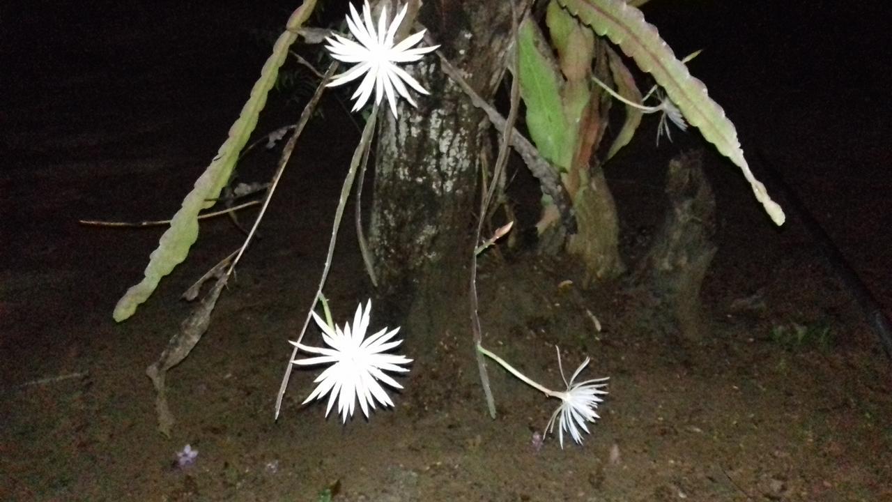 Suduweli Beauties of Nature Kirinda  Extérieur photo