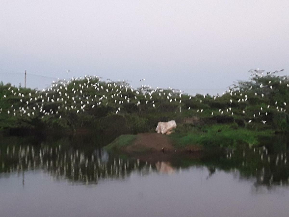 Suduweli Beauties of Nature Kirinda  Extérieur photo