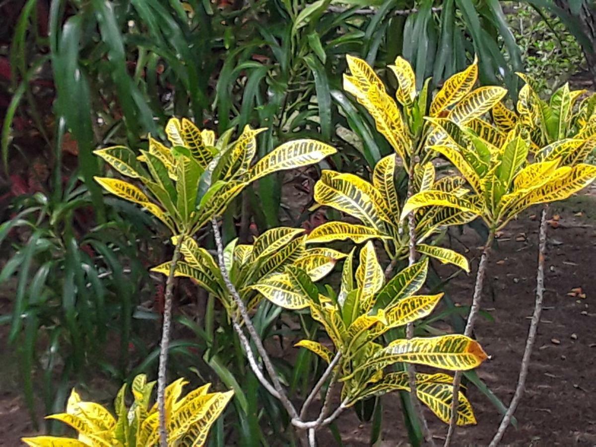 Suduweli Beauties of Nature Kirinda  Extérieur photo